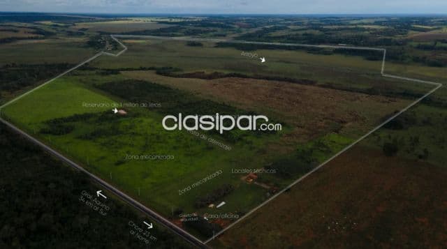 Oportunidad de inversion - 211 hectareas sobre ruta - san pedro sur