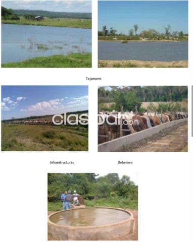 Estancia agroganadera de 730 has en Carayao, Caaguazu