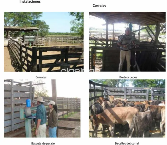 Estancia agroganadera de 730 has en Carayao, Caaguazu, foto 3