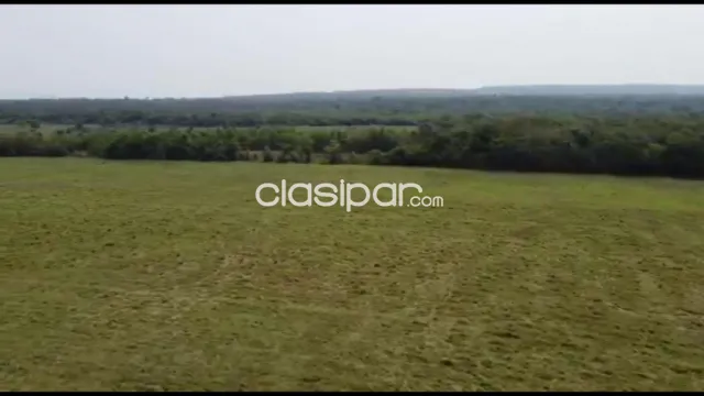 Estancia agroganadera de 730 has en Carayao, Caaguazu, foto 4