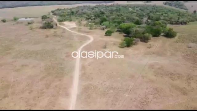 Estancia agroganadera de 730 has en Carayao, Caaguazu, foto 5