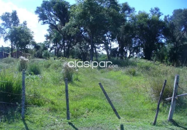 Villeta, buey rodeo: Inigualables 30 has, s/ rio, p/ puertos, astilleros, logísticas, foto 4