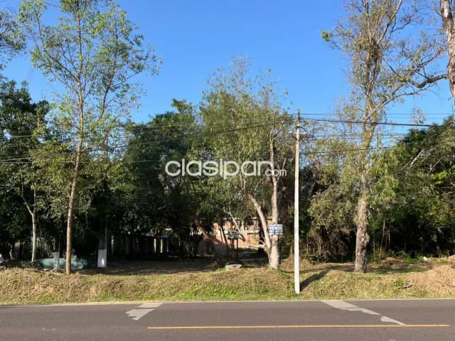 Terreno en San Bernardino 1.000 m2 sobre la avenida naumann c/ avenida mbocaya — foto 3