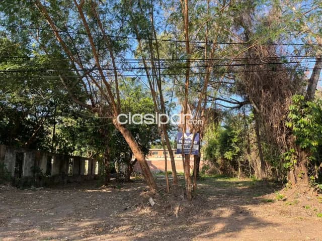 Terreno en San Bernardino 1.000 m2 sobre la avenida naumann c/ avenida mbocaya — foto 4