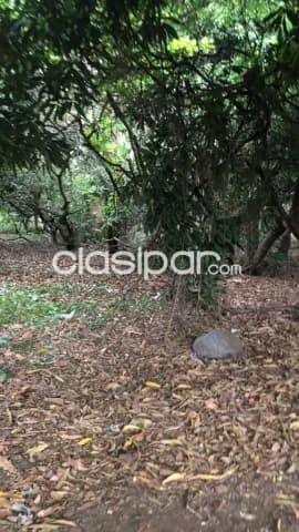 Súper oferta. !!!ita enrramada vendo amplio terreno zona aso de ingenieros colorados — foto 2