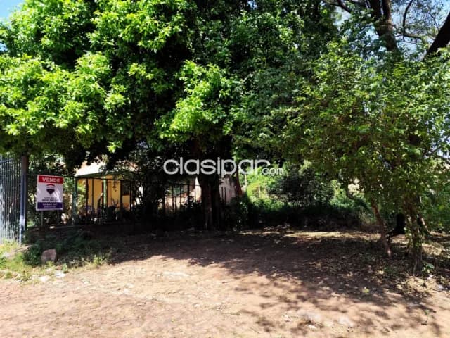 Terreno en Venta a 30 Metros de Av. Avelino Martínez, San Lorenzo — foto 3