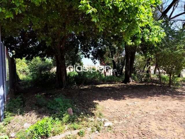 Terreno en Venta a 30 Metros de Av. Avelino Martínez, San Lorenzo — foto 4