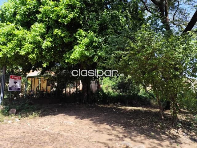 Terreno en Venta a 30 Metros de Av. Avelino Martínez, San Lorenzo — foto 5