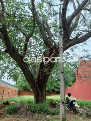Terreno de 360 m2 Zona Colegio de la Asunción, Fernando Norte - LLA6471697 — foto 2
