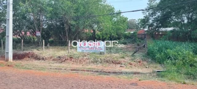 Terreno en presidente franco -area 5 — foto 3