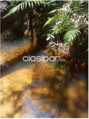 Caballero, paraguarí: 7.5 has, altamente agro-ganadera, arroyos cristalinos, loteamientos — foto 3