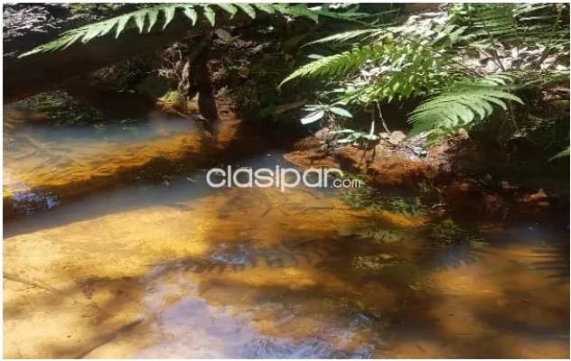 Caballero, paraguarí: 7.5 has, altamente agro-ganadera, arroyos cristalinos, loteamientos — foto 5