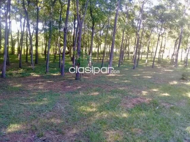 Casa Quinta en Areguá sobre Ruta Pavimentada - 3 Ha, foto 4