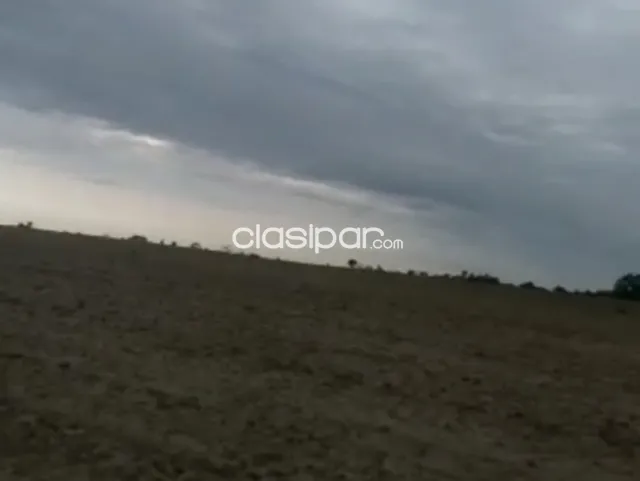 Campo Agrícola Mecanizado en Coronel Bogado costa al Río Paraná - 200 Ha, foto 3