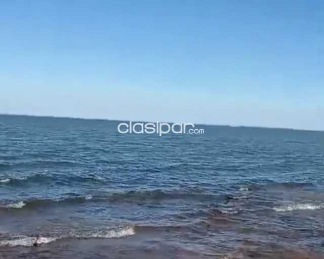 Campo Agrícola Mecanizado en Coronel Bogado costa al Río Paraná - 200 Ha, foto 4