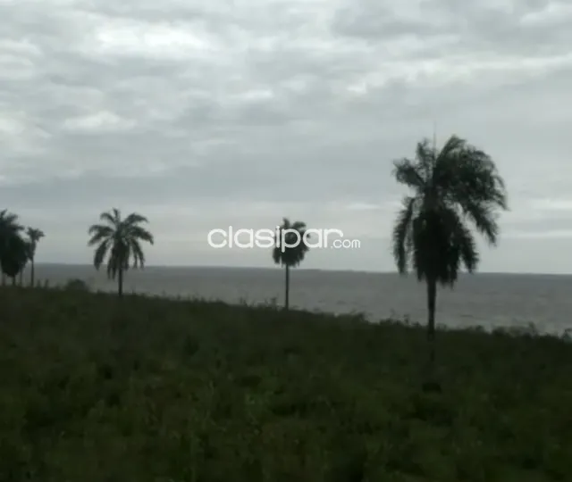 Campo Agrícola Mecanizado en Coronel Bogado costa al Río Paraná - 200 Ha, foto 5