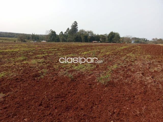 Terreno Agrícola Mecanizado en Cambyreta - 10 Ha