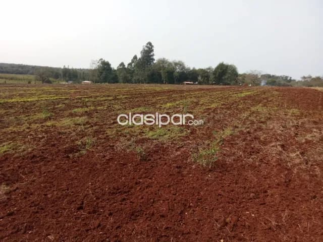 Terreno Agrícola Mecanizado en Cambyreta - 10 Ha — foto 2