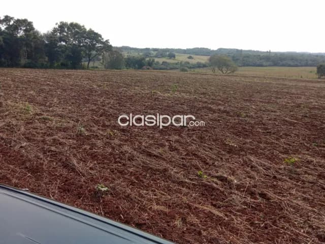 Terreno Agrícola Mecanizado en Cambyreta - 10 Ha — foto 3