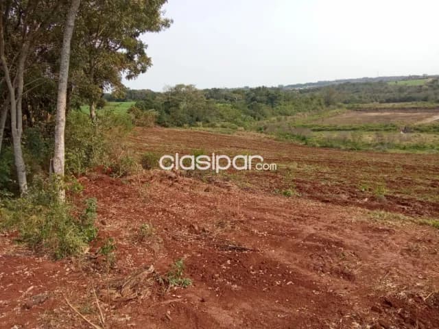 Terreno Agrícola Mecanizado en Cambyreta - 10 Ha — foto 4