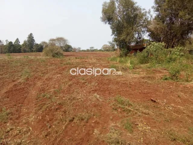 Terreno Agrícola Mecanizado en Cambyreta - 10 Ha — foto 5