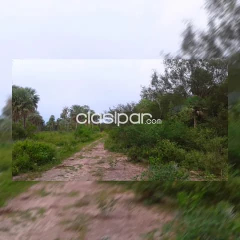474 ha. En Venta. Estancia.: Agroganadera. En Gral. Bruguez. Libre. Consulte y programe Ve — foto 5
