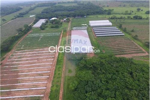 Campo de 53 has en itacurubi, foto 4