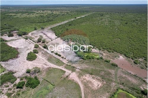 Campo para ganaderia