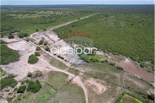 Campo para ganaderia, foto 2