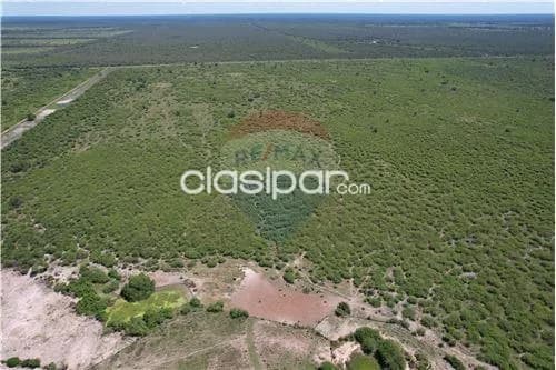Campo para ganaderia, foto 3