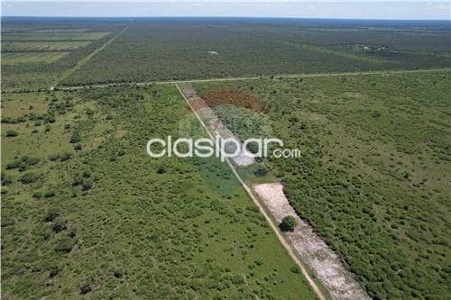 Campo para ganaderia, foto 4