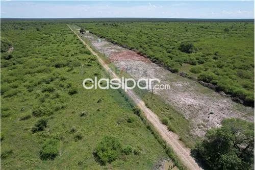 Campo para ganaderia, foto 5
