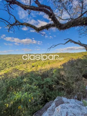 En venta quincho mbatovi ciudad de piribebuy, foto 2