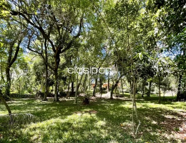 Casa Quinta en Areguá- 2.800 m2 — foto 3