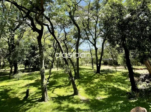 Casa Quinta en Areguá- 2.800 m2 — foto 5