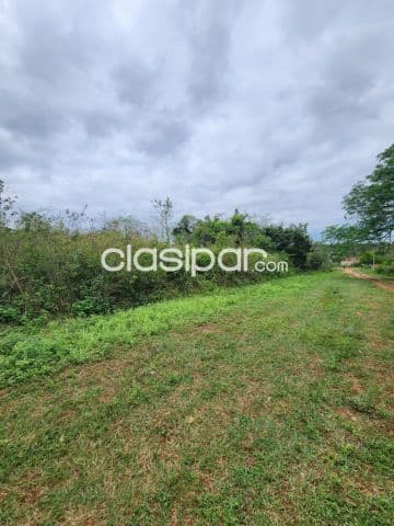 4 terrenos de 12x30 cada uno en Zárate isla Luque