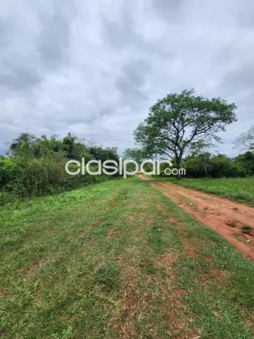 4 terrenos de 12x30 cada uno en Zárate isla Luque, foto 4