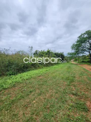 4 terrenos de 12x30 cada uno en Zárate isla Luque, foto 5
