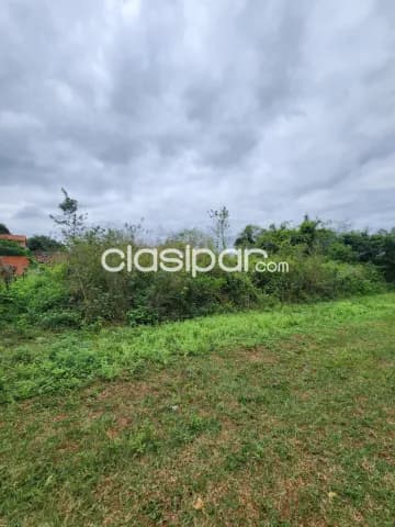 4 terrenos de 12x30 cada uno en Zárate isla Luque — foto 4