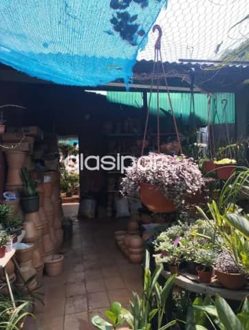 Casa en asuncion barrio pinoza cod 4768 — foto 4