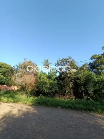 Terreno de 1 ha. Zona anfiteatro san ber — foto 3