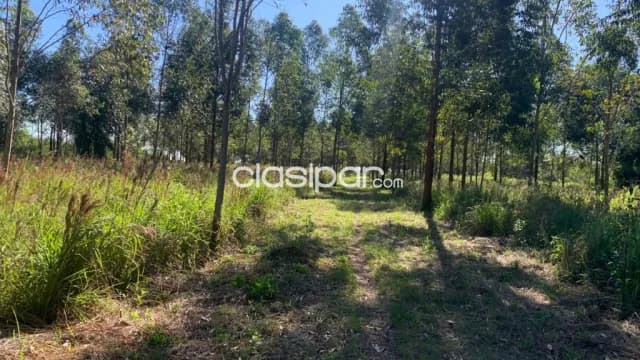 Casa Quinta en Coronel Bogado - 10 Ha, foto 3