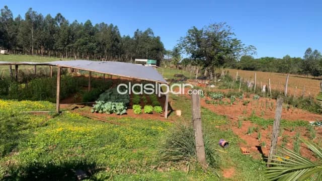 Casa Quinta en Coronel Bogado - 10 Ha, foto 5