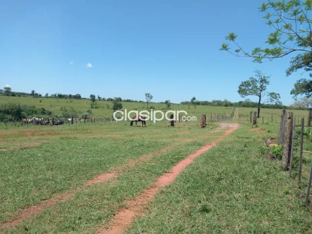 Propiedad de 50 htas.- zona punta suerte, foto 3
