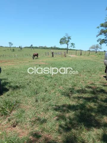 Propiedad de 50 htas.- zona punta suerte, foto 4