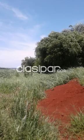 Propiedad de 12 has en canindeyu, foto 2