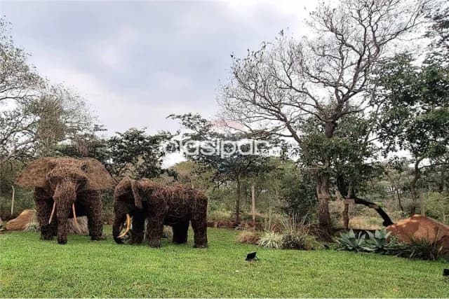 Terreno - Venta - Paraguay Cordillera San Bernardino HERMOSA PROPIEDAD CON VISTA AL LAGO E — foto 4