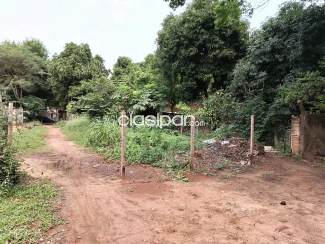 Terreno 503 m2 en Luque, zona detras del c.i.t, foto 5