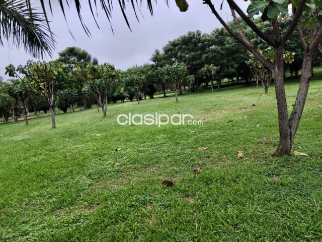 Casa Quinta en Itá - 6 Ha