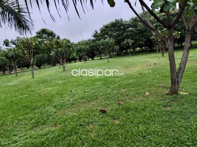 Casa Quinta en Itá - 6 Ha, foto 2